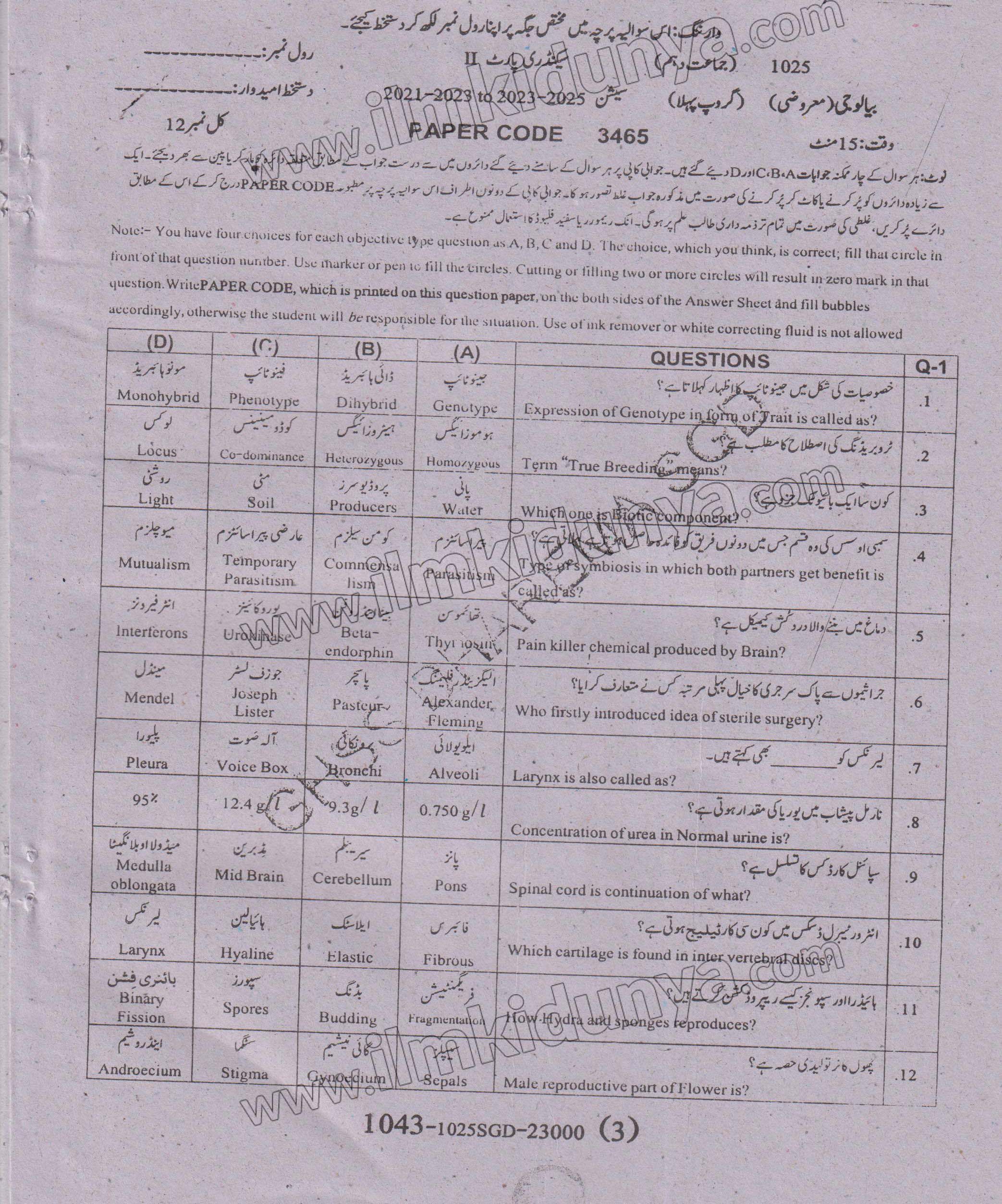 Paper Image
